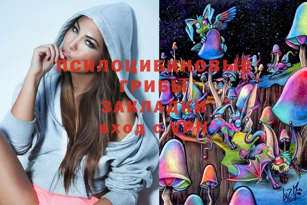 прущая мука Пересвет