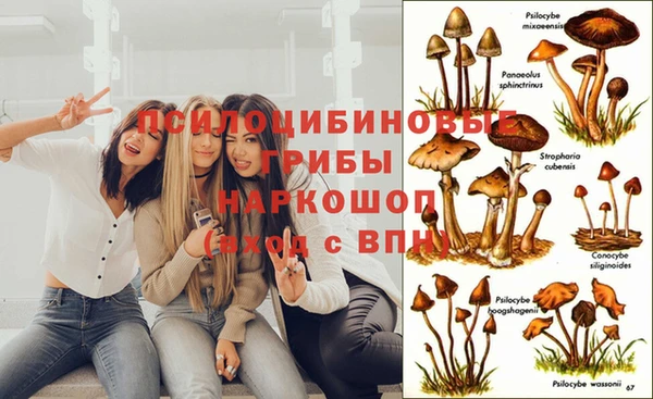 Альфа ПВП Пестово