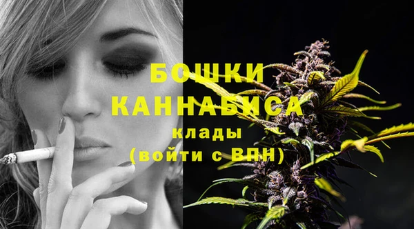 Альфа ПВП Пестово
