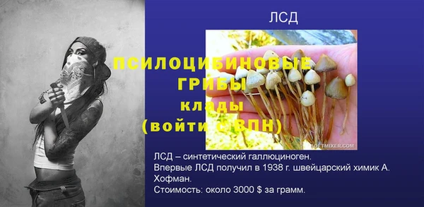 твердый Переславль-Залесский