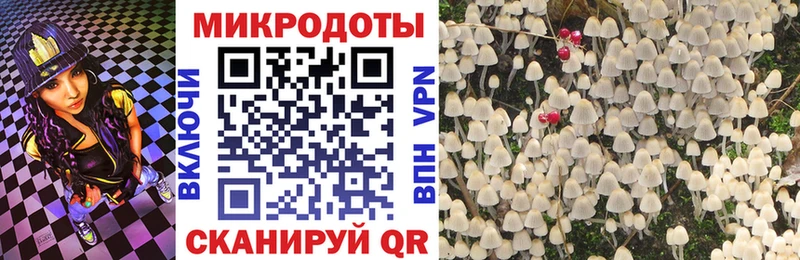 Галлюциногенные грибы прущие грибы  Брюховецкая 